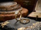 RG-038 Refined Luxury. Daily Wear Approved
