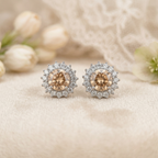 TP-010 Small But Stunning